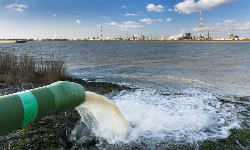 shutterstock_367273355